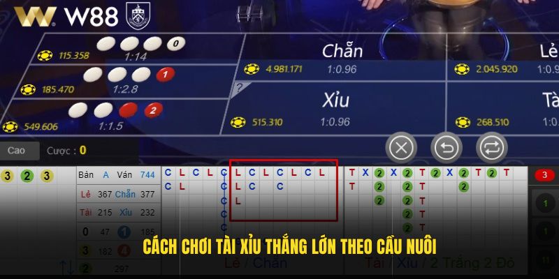 Cách chơi Tài Xỉu thắng lớn theo cầu nuôi