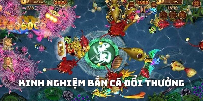 Bí kíp giúp săn thưởng lớn từ các game bắn cá đổi thưởng là gì