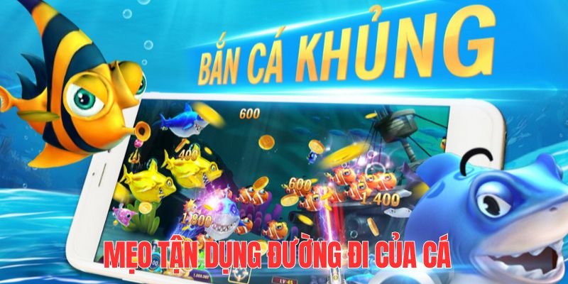 Mẹo bắn cá online hiệu quả bằng cách tận dụng đường đi của chúng